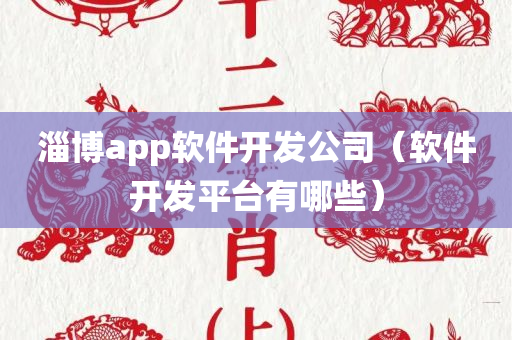 淄博app软件开发公司（软件开发平台有哪些）