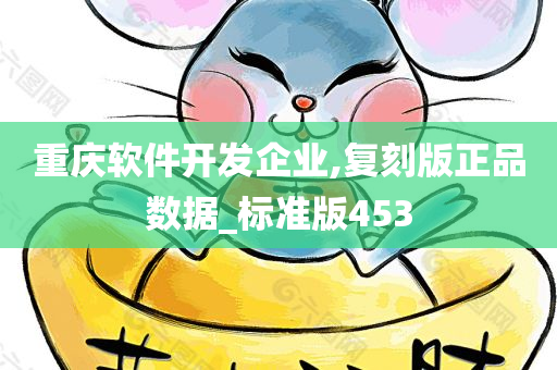 重庆软件开发企业,复刻版正品数据_标准版453