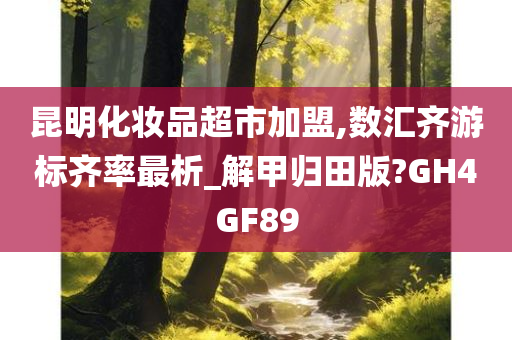 昆明化妆品超市加盟,数汇齐游标齐率最析_解甲归田版?GH4GF89