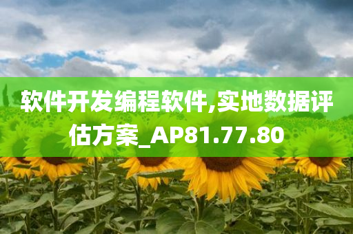 软件开发编程软件,实地数据评估方案_AP81.77.80