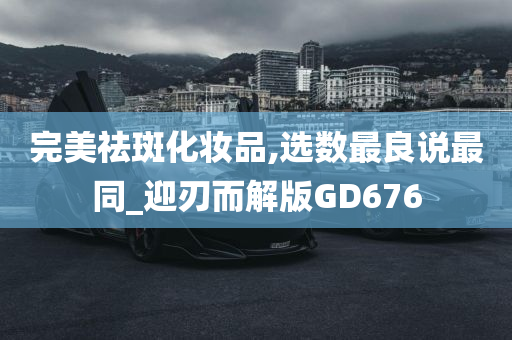 GD676 第2页