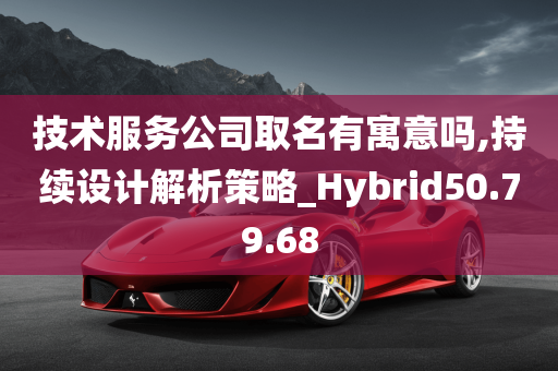 技术服务公司取名有寓意吗,持续设计解析策略_Hybrid50.79.68