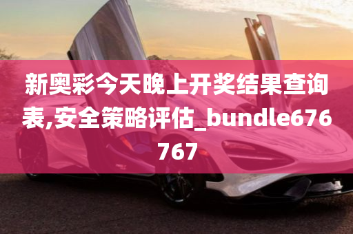 新奥彩今天晚上开奖结果查询表,安全策略评估_bundle676767