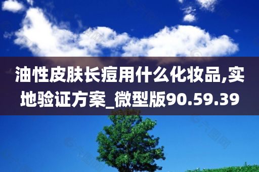 油性皮肤长痘用什么化妆品,实地验证方案_微型版90.59.39