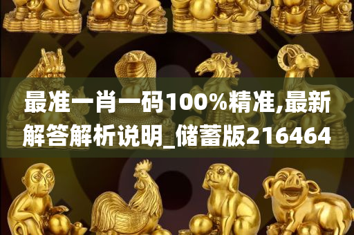 最准一肖一码100%精准,最新解答解析说明_储蓄版216464