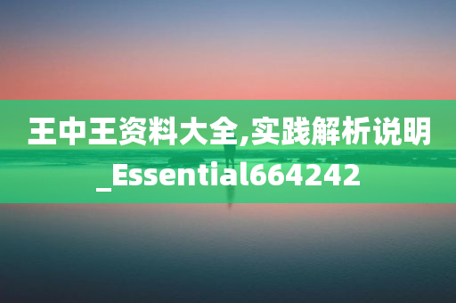 王中王资料大全,实践解析说明_Essential664242