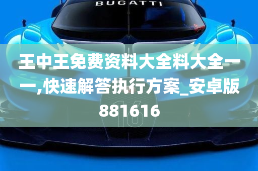 王中王免费资料大全料大全一一,快速解答执行方案_安卓版881616