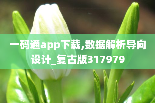 一码通app下载,数据解析导向设计_复古版317979