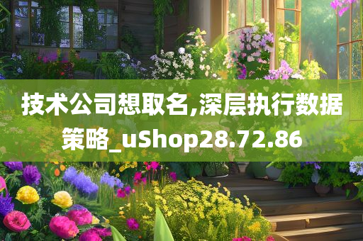 技术公司想取名,深层执行数据策略_uShop28.72.86