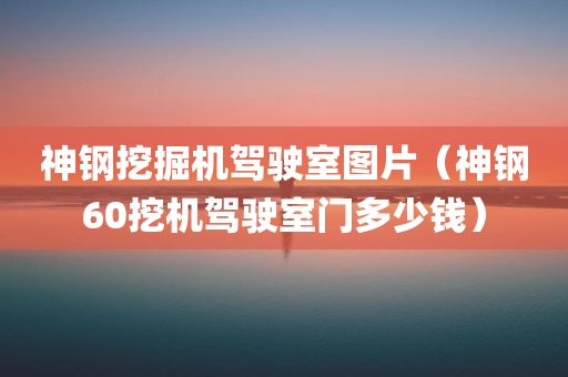 神钢挖掘机驾驶室图片（神钢60挖机驾驶室门多少钱）