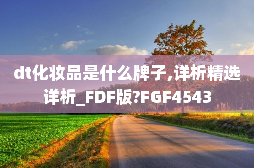 dt化妆品是什么牌子,详析精选详析_FDF版?FGF4543