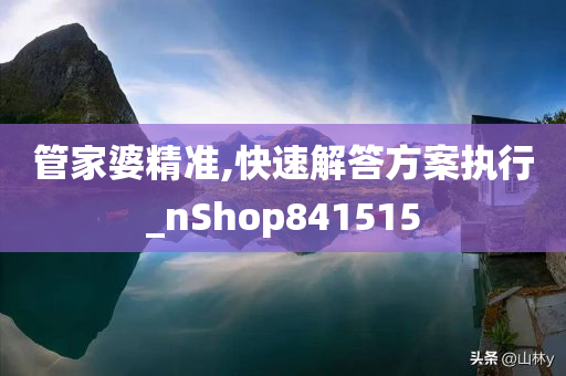 管家婆精准,快速解答方案执行_nShop841515