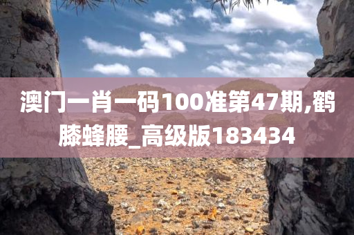 澳门一肖一码100准第47期,鹤膝蜂腰_高级版183434