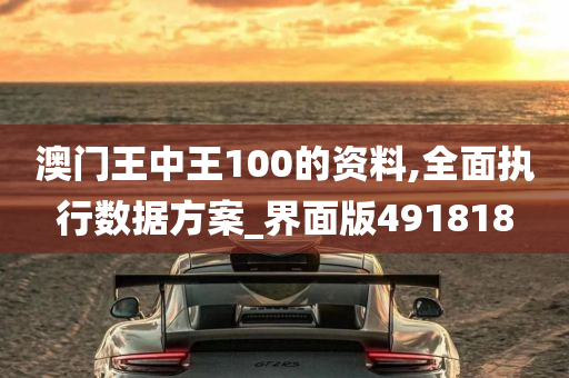 澳门王中王100的资料,全面执行数据方案_界面版491818