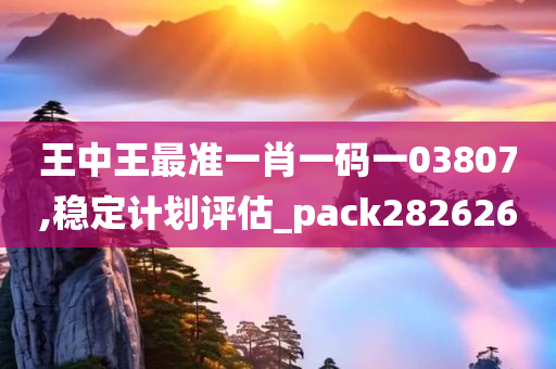 王中王最准一肖一码一03807,稳定计划评估_pack282626