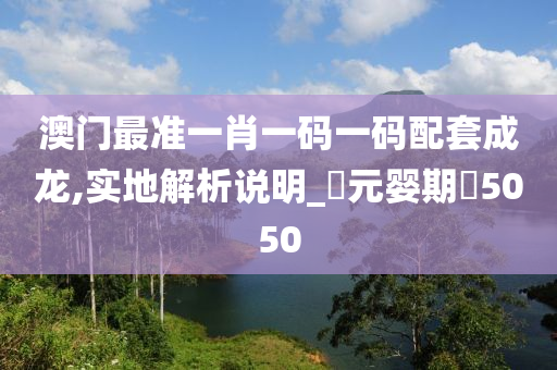 澳门最准一肖一码一码配套成龙,实地解析说明_‌元婴期‌5050