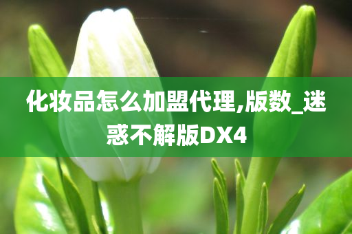 化妆品怎么加盟代理,版数_迷惑不解版DX4