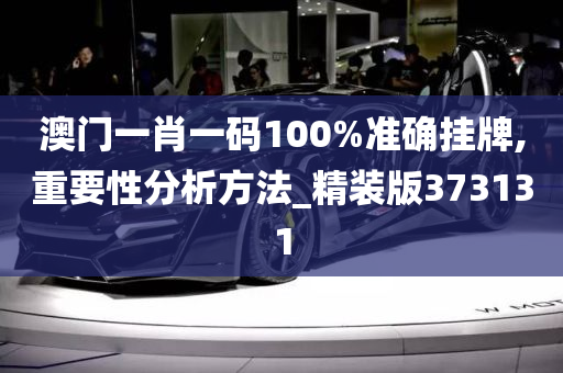 澳门一肖一码100%准确挂牌,重要性分析方法_精装版373131