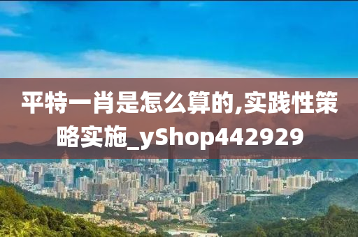 平特一肖是怎么算的,实践性策略实施_yShop442929