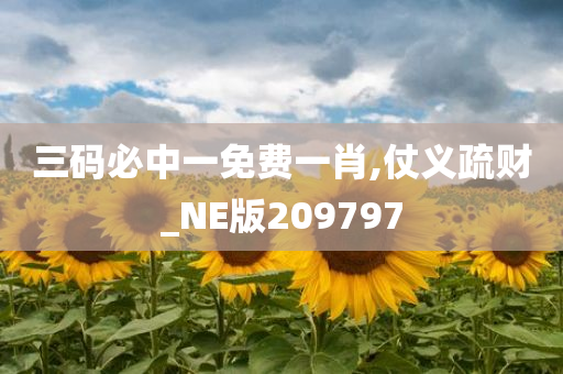 三码必中一免费一肖,仗义疏财_NE版209797