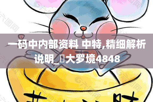 一码中内部资料 中特,精细解析说明_‌大罗境4848