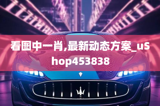 看图中一肖,最新动态方案_uShop453838