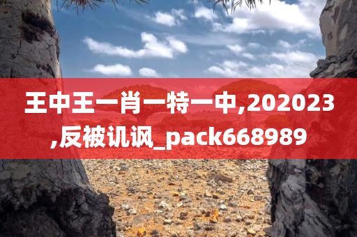 王中王一肖一特一中,202023,反被讥讽_pack668989