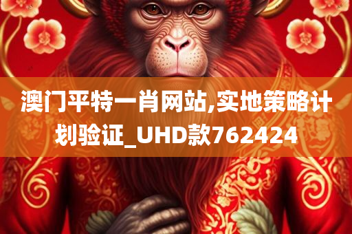 澳门平特一肖网站,实地策略计划验证_UHD款762424