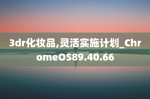 3dr化妆品,灵活实施计划_ChromeOS89.40.66