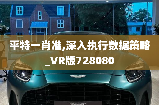 平特一肖准,深入执行数据策略_VR版728080