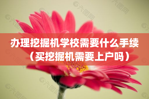 办理挖掘机学校需要什么手续（买挖掘机需要上户吗）