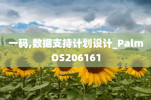 一码,数据支持计划设计_PalmOS206161