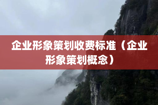 企业形象策划收费标准（企业形象策划概念）