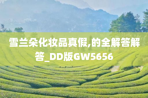 雪兰朵化妆品真假,的全解答解答_DD版GW5656