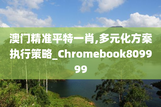 澳门精准平特一肖,多元化方案执行策略_Chromebook809999