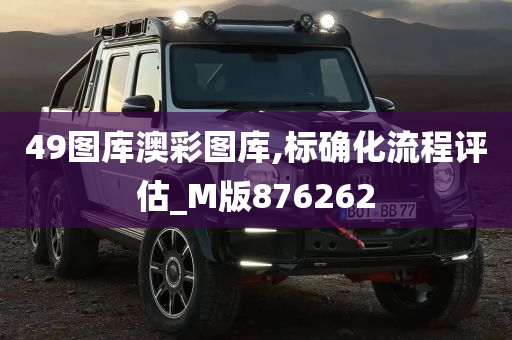 49图库澳彩图库,标确化流程评估_M版876262