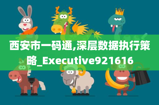 西安市一码通,深层数据执行策略_Executive921616