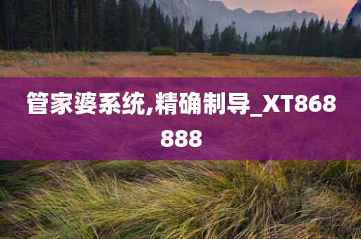 管家婆系统,精确制导_XT868888