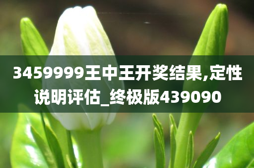 3459999王中王开奖结果,定性说明评估_终极版439090