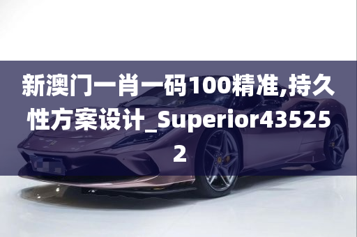 新澳门一肖一码100精准,持久性方案设计_Superior435252