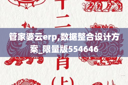 管家婆云erp,数据整合设计方案_限量版554646