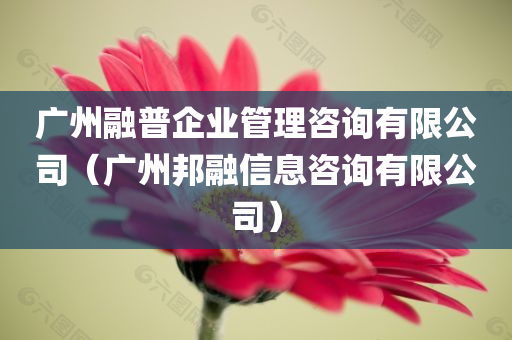 广州融普企业管理咨询有限公司（广州邦融信息咨询有限公司）