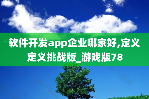 软件开发app企业哪家好,定义定义挑战版_游戏版78