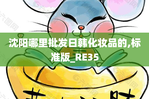 沈阳哪里批发日韩化妆品的,标准版_RE35