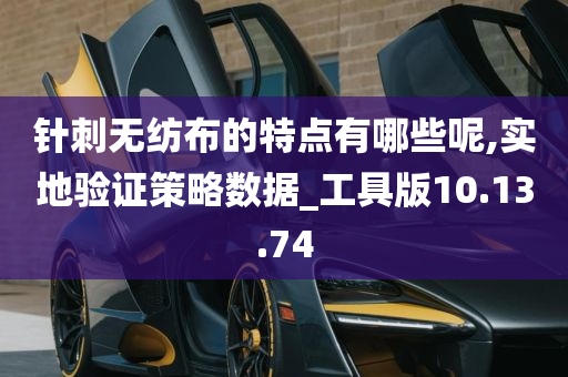 针刺无纺布的特点有哪些呢,实地验证策略数据_工具版10.13.74