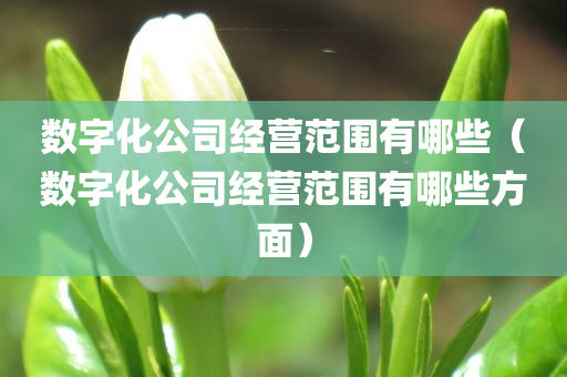 数字化公司经营范围有哪些（数字化公司经营范围有哪些方面）