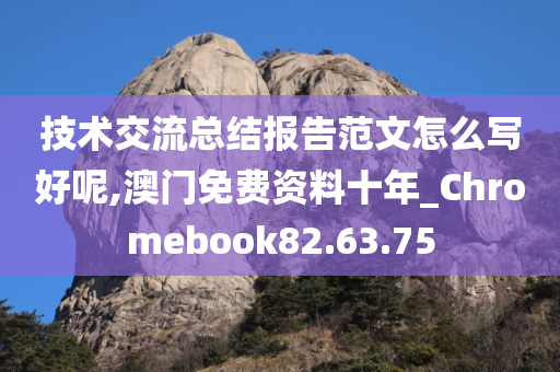 技术交流总结报告范文怎么写好呢,澳门免费资料十年_Chromebook82.63.75