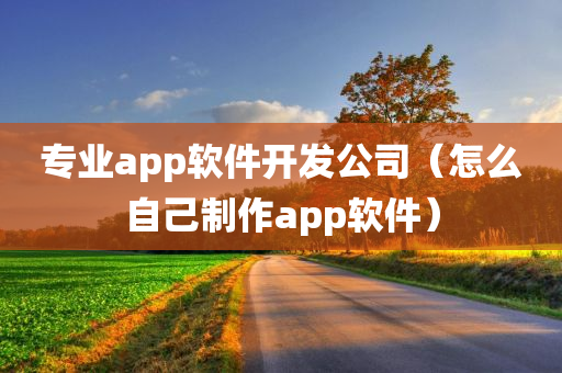 专业app软件开发公司（怎么自己制作app软件）