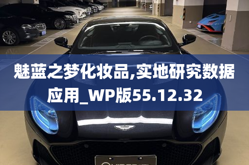 魅蓝之梦化妆品,实地研究数据应用_WP版55.12.32