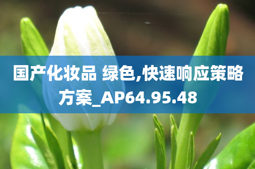 国产化妆品 绿色,快速响应策略方案_AP64.95.48